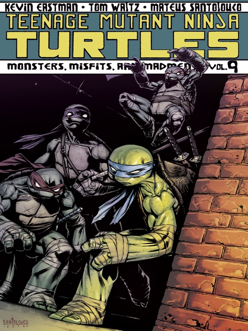 Cover image for Teenage Mutant Ninja Turtles (2011), Volume 9